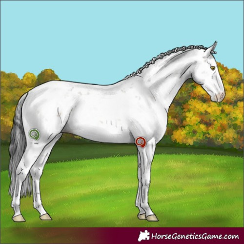 Horse Color:Brown Dun Sabino Brindle 