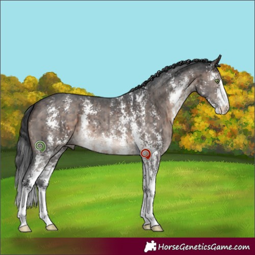 Horse Color:Brown Dun Mushroom Sabino Brindle 