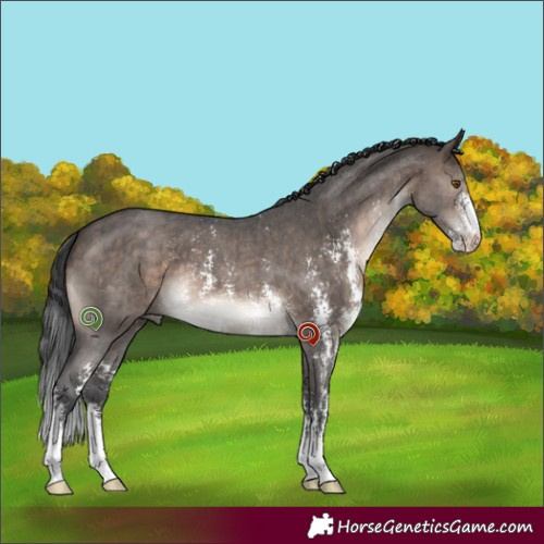 Horse Color:Brown Dun Mushroom Sabino Brindle