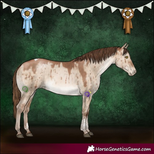 Horse Color:Bay Pearl Dun Tobiano Brindle 