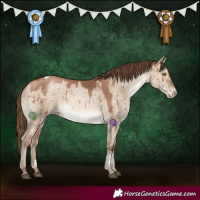 Horse Color:Bay Pearl Dun Tobiano Brindle 