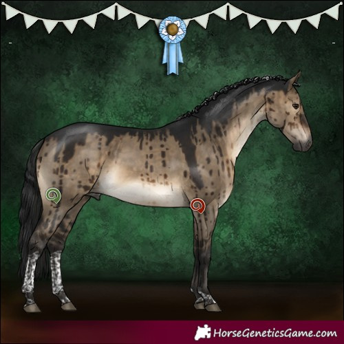 Horse Color:Gray Brown Dun Tobiano Brindle 