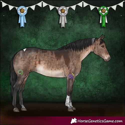 Horse Color:Brown Dun Mushroom Tobiano Brindle
