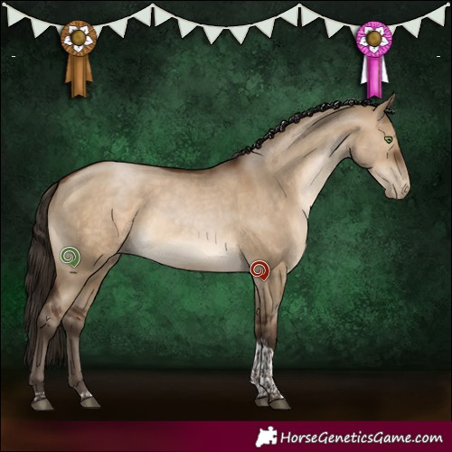 Horse Color:Gray Brown Pearl Dun Tobiano Rabicano 