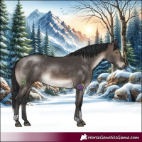 Horse Color:Brown Dun Mushroom Tobiano