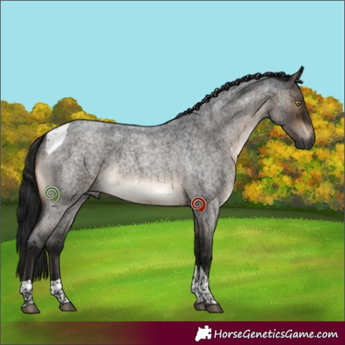 Horse Color:Gray Brown Roan Dun Tobiano Brindle