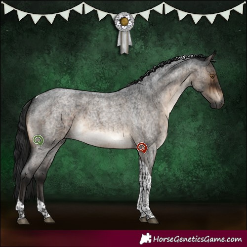 Horse Color:Gray Brown Roan Dun Mushroom Tobiano Rabicano Brindle 