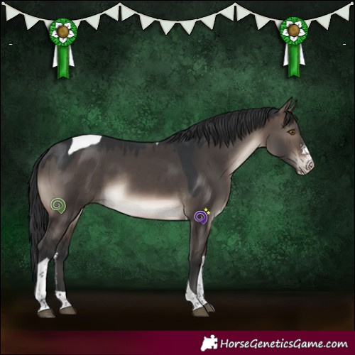 Horse Color:Brown Dun Mushroom Sabino Tobiano
