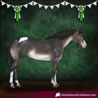 Horse Color:Brown Dun Mushroom Sabino Tobiano