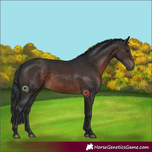 Horse Color:Brown 