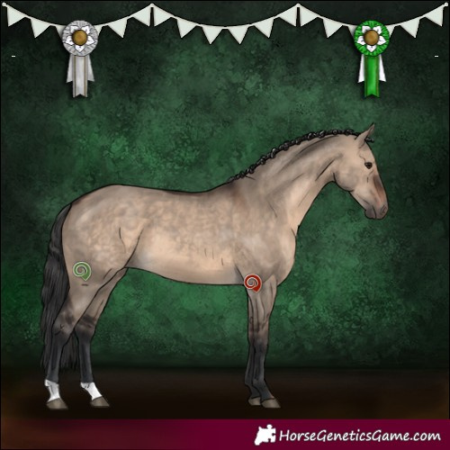 Horse Color:Brown Dun 