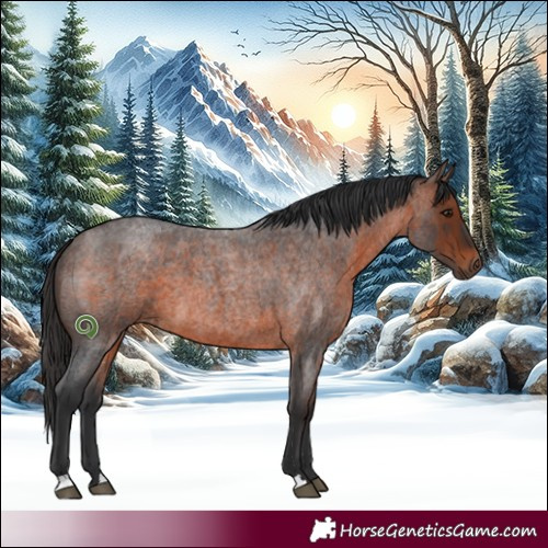 Horse Color:Brown Roan