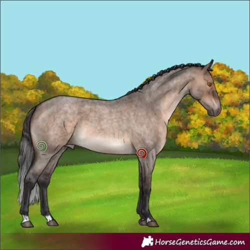 Horse Color:Brown Roan Dun 