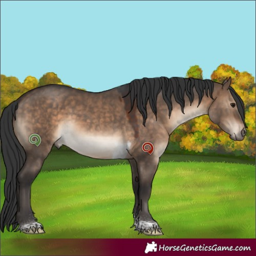 Horse Color:Brown Dun Tobiano 