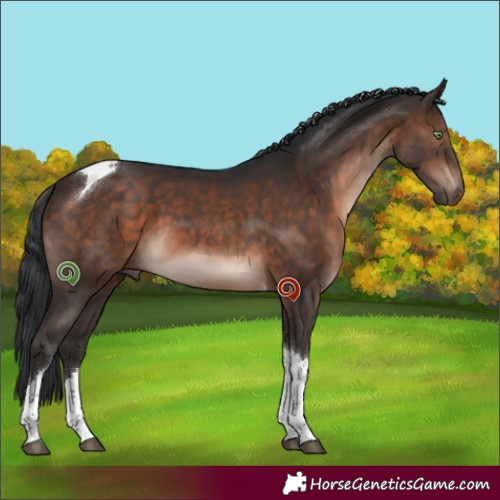 Horse Color:Brown Mushroom Tobiano