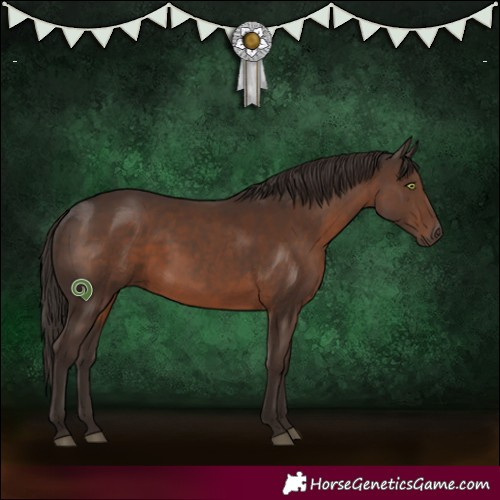 Horse Color:White Spotted Liver Chestnut 