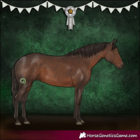 Horse Color:White Spotted Liver Chestnut 