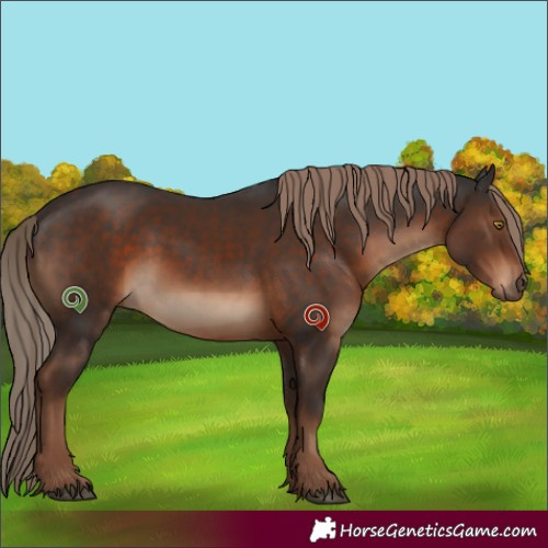 Horse Color:White Spotted Liver Chestnut 