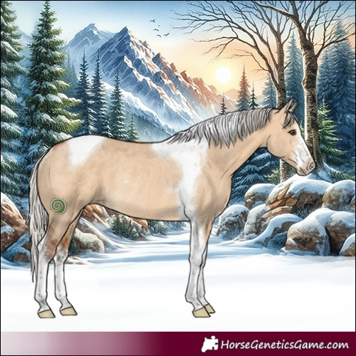 Horse Color:White Spotted Silver Bay Dun Tobiano Rabicano