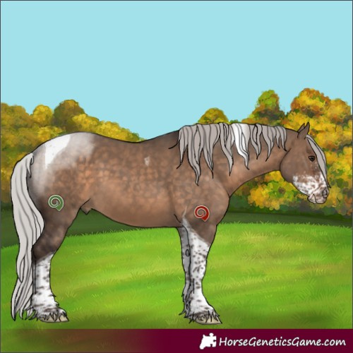 Horse Color:Silver Brown Dun Sabino Tobiano