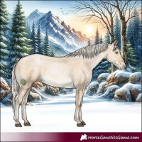 Horse Color:Silver Buckskin Pearl Dun 