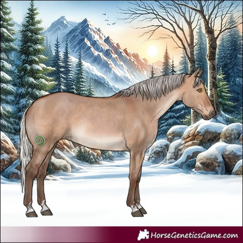 Horse Color:Silver Brown Dun Rabicano 