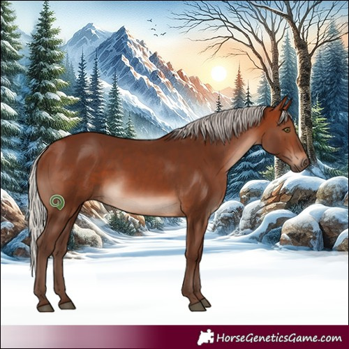 Horse Color:White Spotted Silver Brown