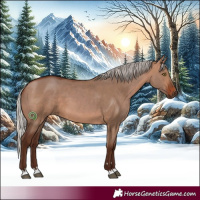 Horse Color:Silver Bay Dun