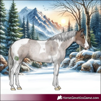 Horse Color:Silver Brown Dun Tobiano 