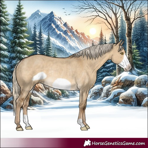 Horse Color:Chocolate Palomino Dun Frame Rabicano
