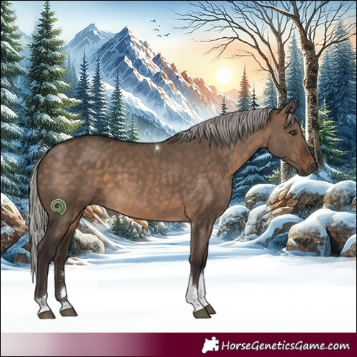 Horse Color:Silver Brown Dun Tobiano Rabicano
