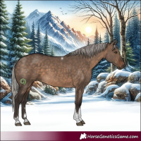 Horse Color:Silver Brown Dun Tobiano Rabicano