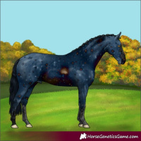 Horse Color:ERROR: UNKNOWN ANOMALY