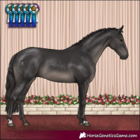 Horse Color:Smoky Black 