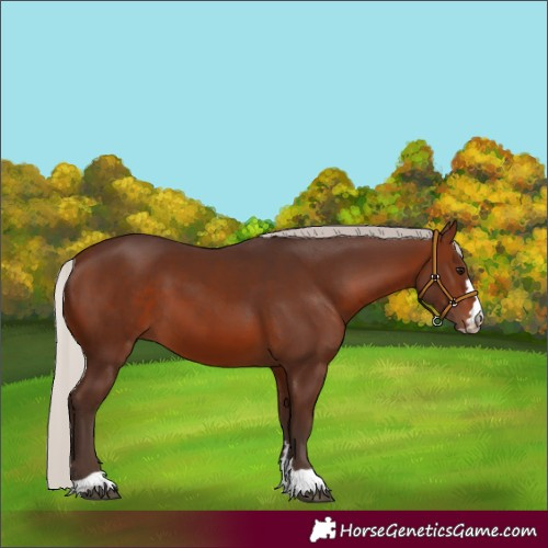Horse Color:Silver Brown 