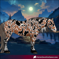 Horse Color:Powder White Bay Leopard 