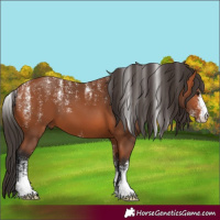 Horse Color:Powder White Bay 