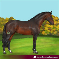 Horse Color:Brown 