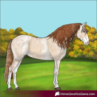 Horse Color:White Spotted Red Dun Ice 