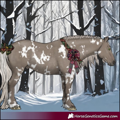Horse Color:White Spotted Silver Grullo Rabicano 