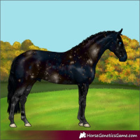 Horse Color:ERROR: UNKNOWN ANOMALY