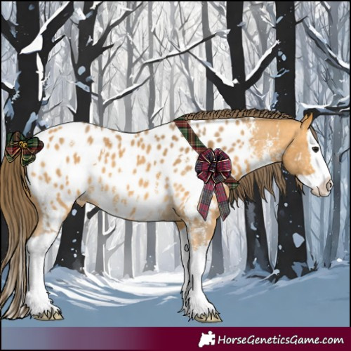 Horse Color:Buckskin Sabino Splash Near Leopard
