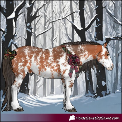 Horse Color:Bay Sabino 