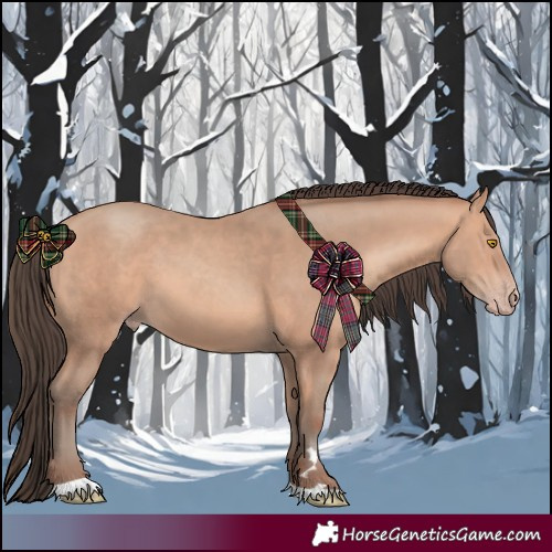 Horse Color:Amber Champagne Tobiano 