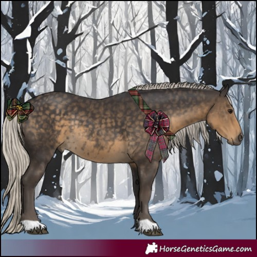 Horse Color:Silver Smoky Black Rabicano 