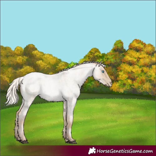 Horse Color:White Spotted Silver Smoky Grullo Roan Pearl 