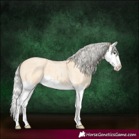 Horse Color:Silver Buckskin Roan Splash 