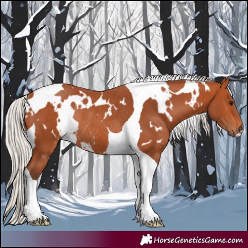 Horse Color:White Spotted Silver Bay Tobiano Rabicano 