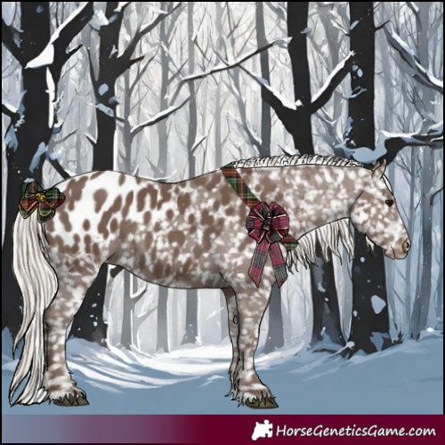 Horse Color:Silver Black Appaloosa Rabicano 
