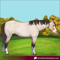 Horse Color:Bay Roan Dun Splash 
